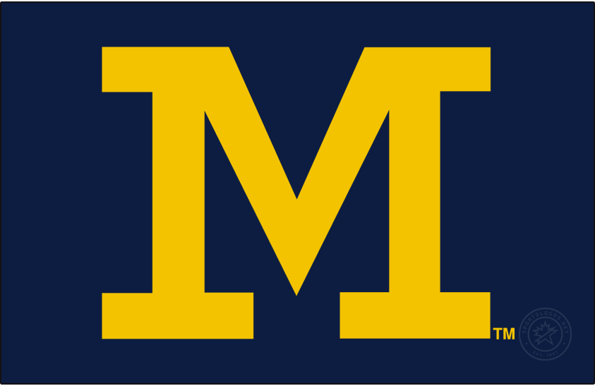 Michigan Wolverines 2016-Pres Secondary Logo v4 iron on transfers for clothing